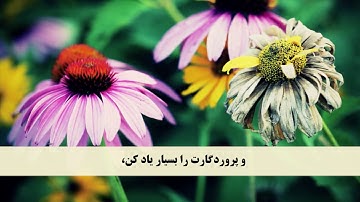 جز 3 ( سوره آل عمران از آیه 38 تا 45 ) با ترجمه فارسی صوتی و تصویری