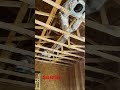 How to do layout for Electrical lighting with laser and chalk line