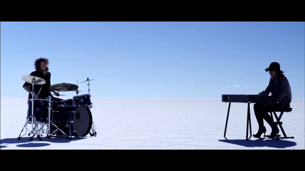 Cats on trees Sirens call YouTube