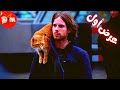 قصة حقيقية عن مدمن ومتشرد حياتو بتتغير بعد..؟! ملخص فيلم A Street Cat Named Bob