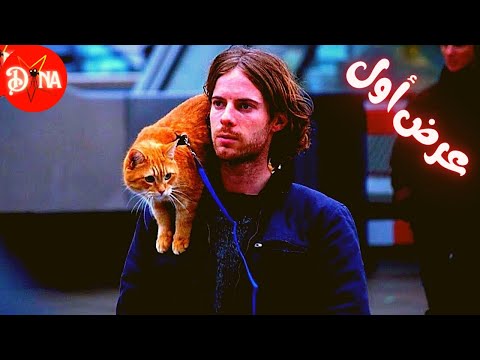 قصة حقيقية - مدمن ومتشرد حياتو بتتغير بعد..؟! ملخص فيلم A Street Cat Named Bob