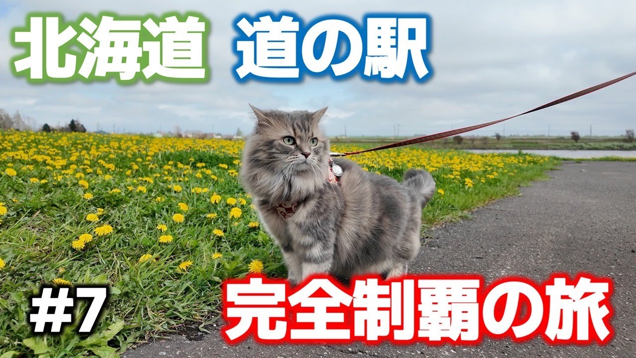 【北海道】道央エリアのご当地グルメを満喫ドライブ！【道の駅スタンプラリーの旅】