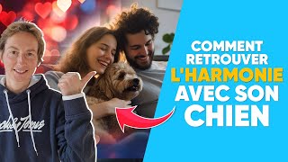 Comment Retrouver L'Harmonie Avec Son Chien ?