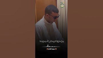 سورة فصلت.. #جعفر_السعدب