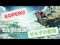 【ゼルダの伝説ティアーズオブザキングダム】こんな時間にすいません！【KOPERU】