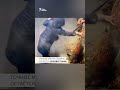 Иран: нападение сотрудников сил безопасности