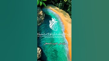 ﴿ وَٱللَّهُ يُرِيدُ أَن يَتُوبَ عَلَيْكُمْ  ﴾للقارئ مؤيد المزين #ارح_قلبك #المصحف