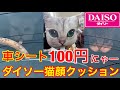 ダイソー★超リアルな猫顔シートクッション100円 マジでビックリします！