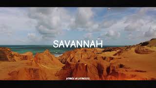 Dj Slow Remix Savannah  Asremixer  slow Remix