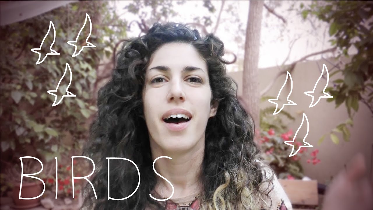 Weekly Hebrew Words With Yaara - Birds