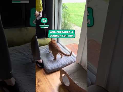 When Dad feeds the squirrels for your own entertainment