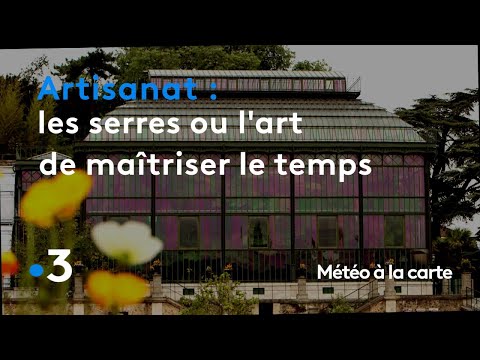 Vidéo: Monde Des Serres - Serres Du Fabricant De Saint-Pétersbourg