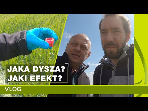 Wideo: Dysza Zielona. Wędkarstwo Gąsienicowe