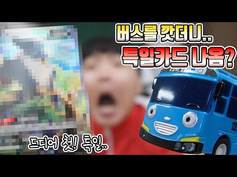자가격리 2일차 버스는 못타서 버스를 깠더니 첫 특일 뽑았습니다 그런데 하필 너냐 ㅋㅋ <strong>심심한데</strong> 시간 보내는방법좀~ 포켓몬스터