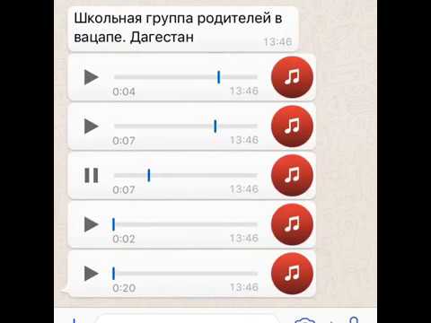 Родители дагестанских школьников негодуют в Whatsapp