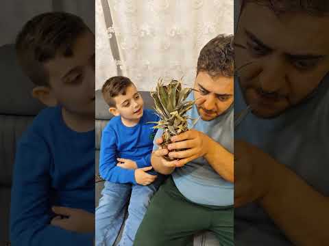 بابا عمل خطة ذكية ليشرب دينيز الدوا حس بشي غريب وقرف