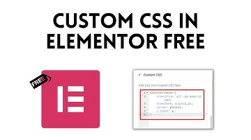 How to Add Custom CSS in Elementor Free 2022 | WordPress Tutorial 2022