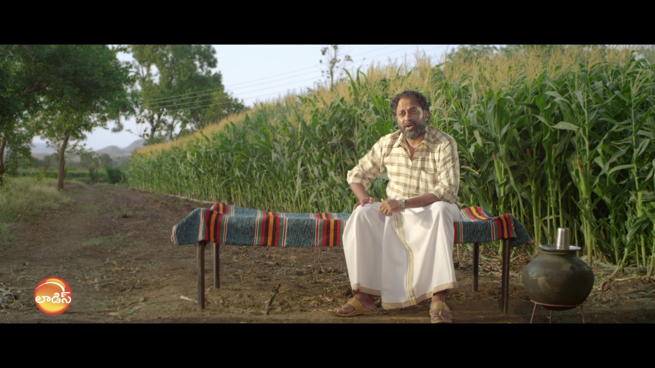 Bayer Laudis Telugu add ,Maize Herbicide.. YouTube