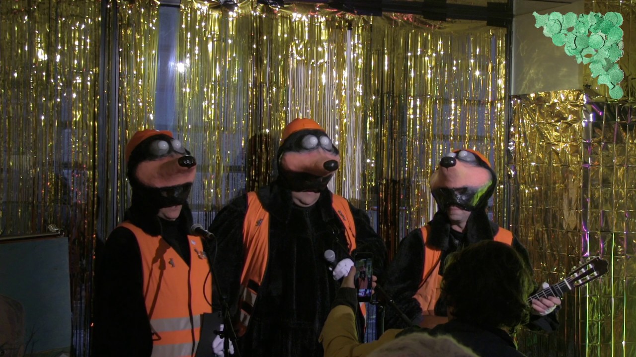 D Muulwiirf in der TagesWoche-Fasnachtsbar