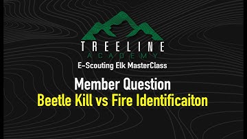 E-Scouting Elk MasterClass Member Question - Beetle Kill vs Fire Zone Identification