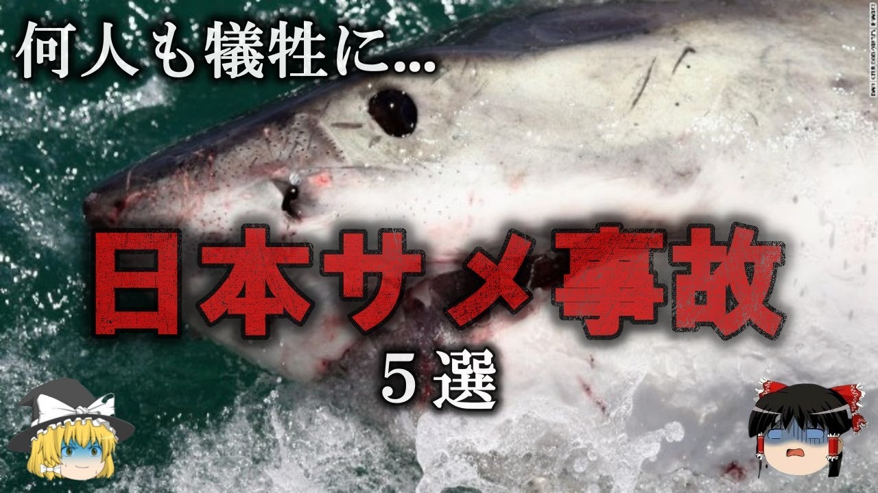 【ゆっくり解説】怖すぎる...日本で起きたサメによる事故5選をゆっくり解説 YouTube