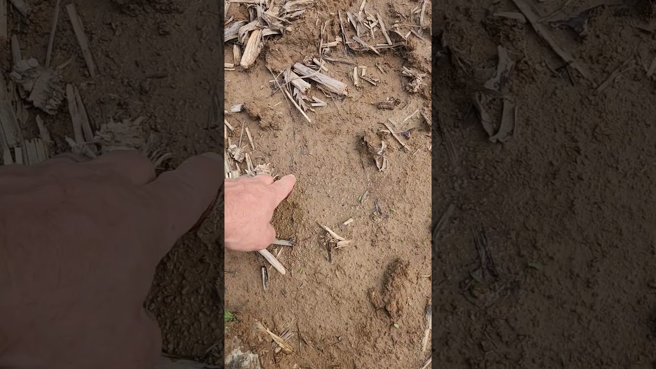 Native American pendant find