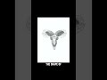 Utero Ram #digitalart #timelapse #darkart #gothicart #procreate
