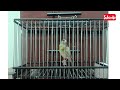 ميسو ويداني اللهم بارك لي مهتم مرحبا الهاتف 0667226372 