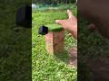 エンダーマン召喚Summon Enderman