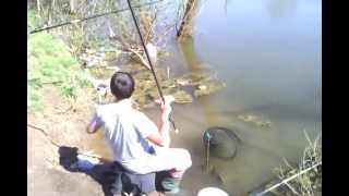 Spadanje Kapitalnog Pacova