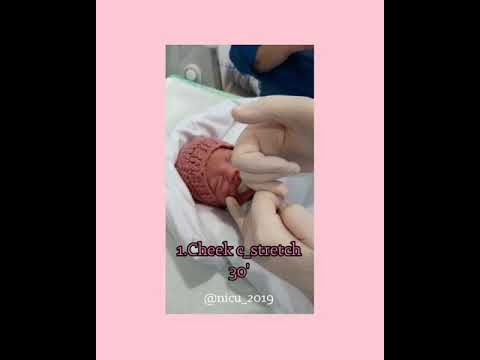 تصویری: اصطلاح knolling از کجا آمده است؟