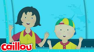Caillou at the Aquarium | Caillou - WildBrain | Learning for Children