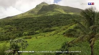 Montagne Pelée À La Conquête De La Merveille De La Martinique
