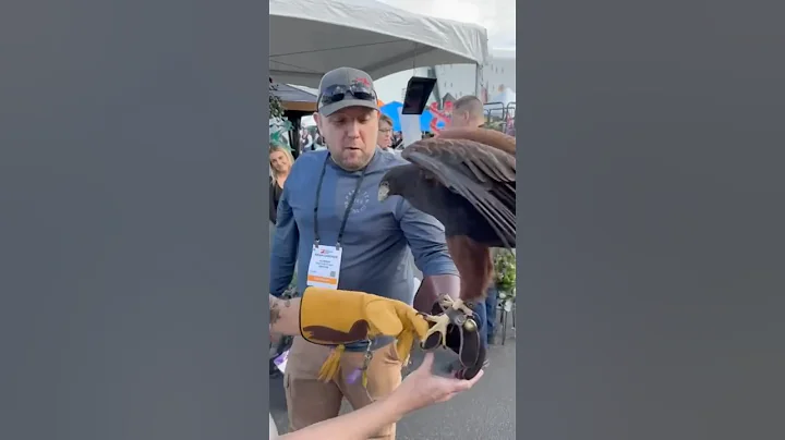 5 Favorite Tool Finds From The National Hardware Show 2024 #tools #nhs2025