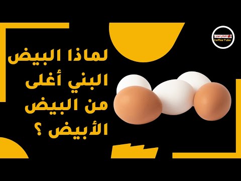 الفرق بين البيض البني والبيض الأبيض