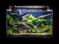 Building The NEW NANO FISH Aquascape (Low Tech)