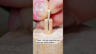 This Tiny Wood Repair Trick Actually Works! 🪵🔥