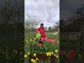 Crook & Weardale Ramblers 11 mile hike around Corbridge #ramblers #hiking #walking #walkinggroup