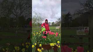 Crook & Weardale Ramblers 11 mile hike around Corbridge #ramblers #hiking #walking #walkinggroup