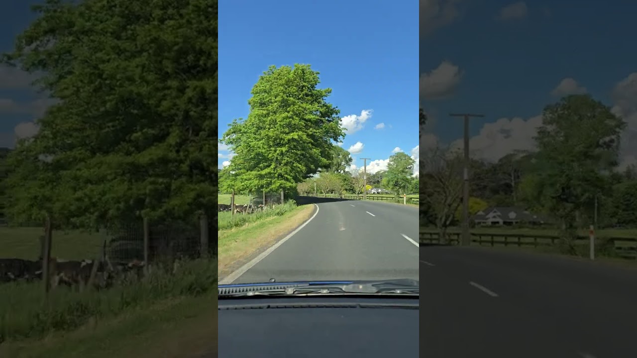 State Highway 1 to Hobbiton Drive