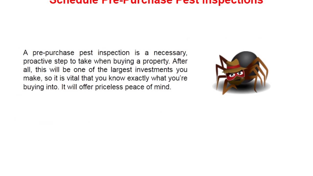 4 Proactive Tips For Pest-Proofing Your Home