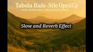 Tabola Bale - ( Slow and Reverb Effect)🤙🎧