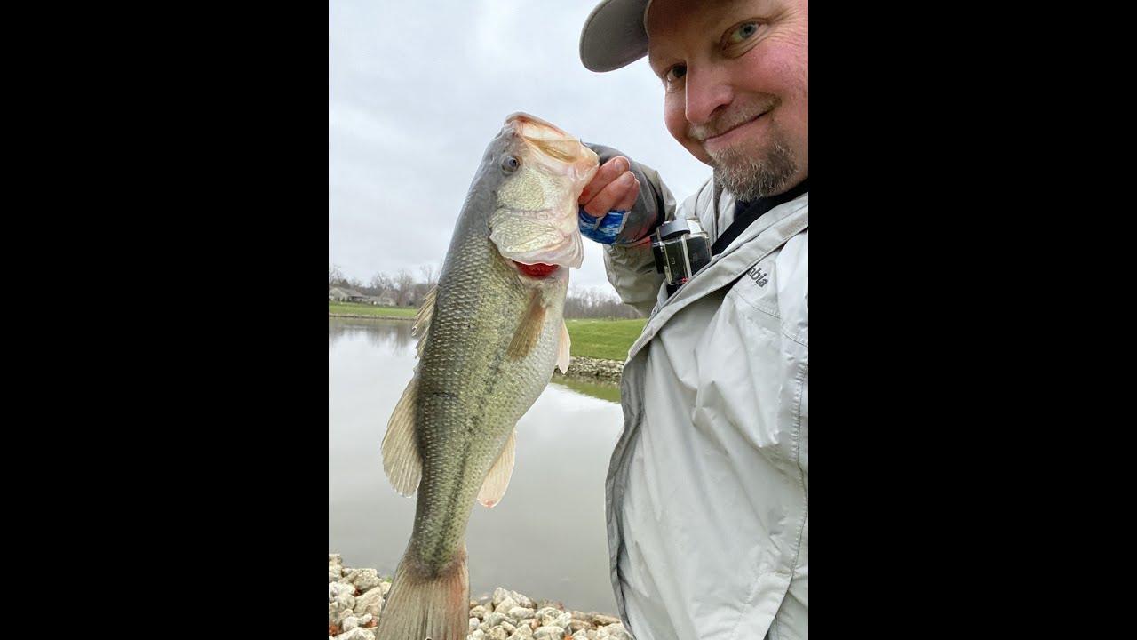 Thanksgiving catching hogs👀