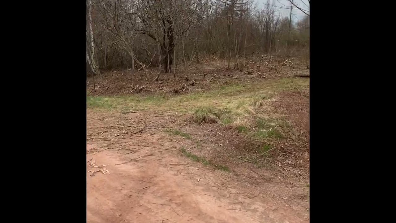 Wentworth, NS PID 25160953.  1.4 acres