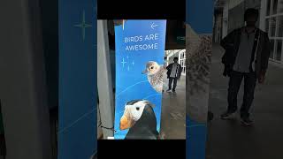 at aquarium in Seattle , USA.  #touristattractions