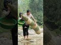 Eps002 Single mother and baby using giant bamboo cag e to trap fish catching many big fish