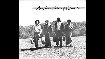 J. Haydn - String Quartet Op.1 no. 1 - Presto (Amphion String Quartet)