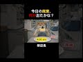 【深夜1:00】今日の廃棄、何が出た?柴店長のご褒美タイム🍡