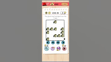 Brain test level 255