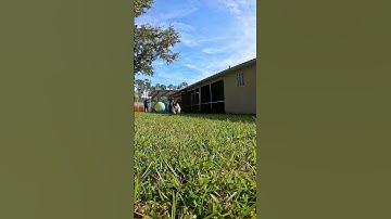 Testing Da Vinci Resolve Slo Mo Optical Flow 4K 30 FPS